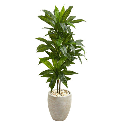 4' Artificial Dracaena Plant in Sand Colored Planter (Real Touch) - Rivour Home