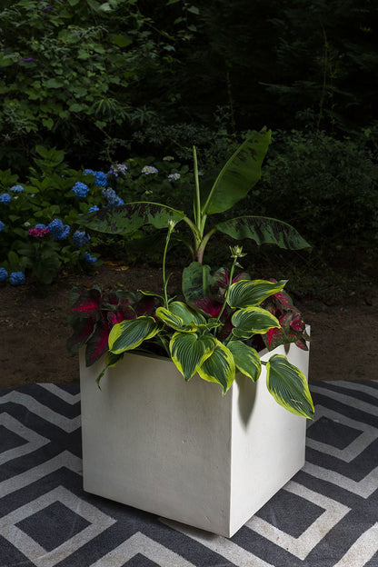 Barrow Planter - Rivour Home