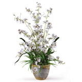 Dancing Lady Silk Orchid Arrangement - Rivour Home