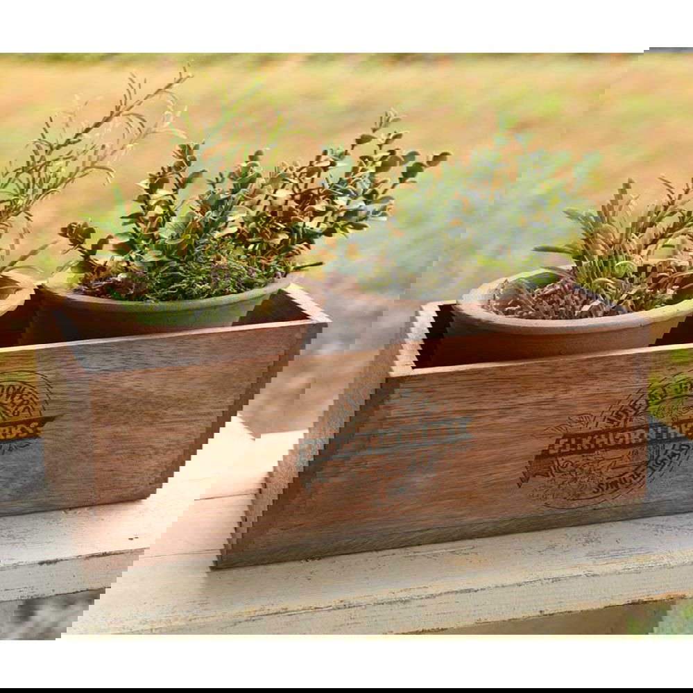 Elkhorn Herbs Dual Pot Wooden Planter Set - Rivour Home