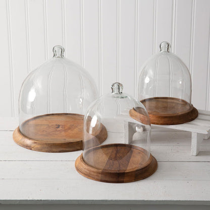 Large Wooden Base Glass Cloche Display Dome - Rivour Home