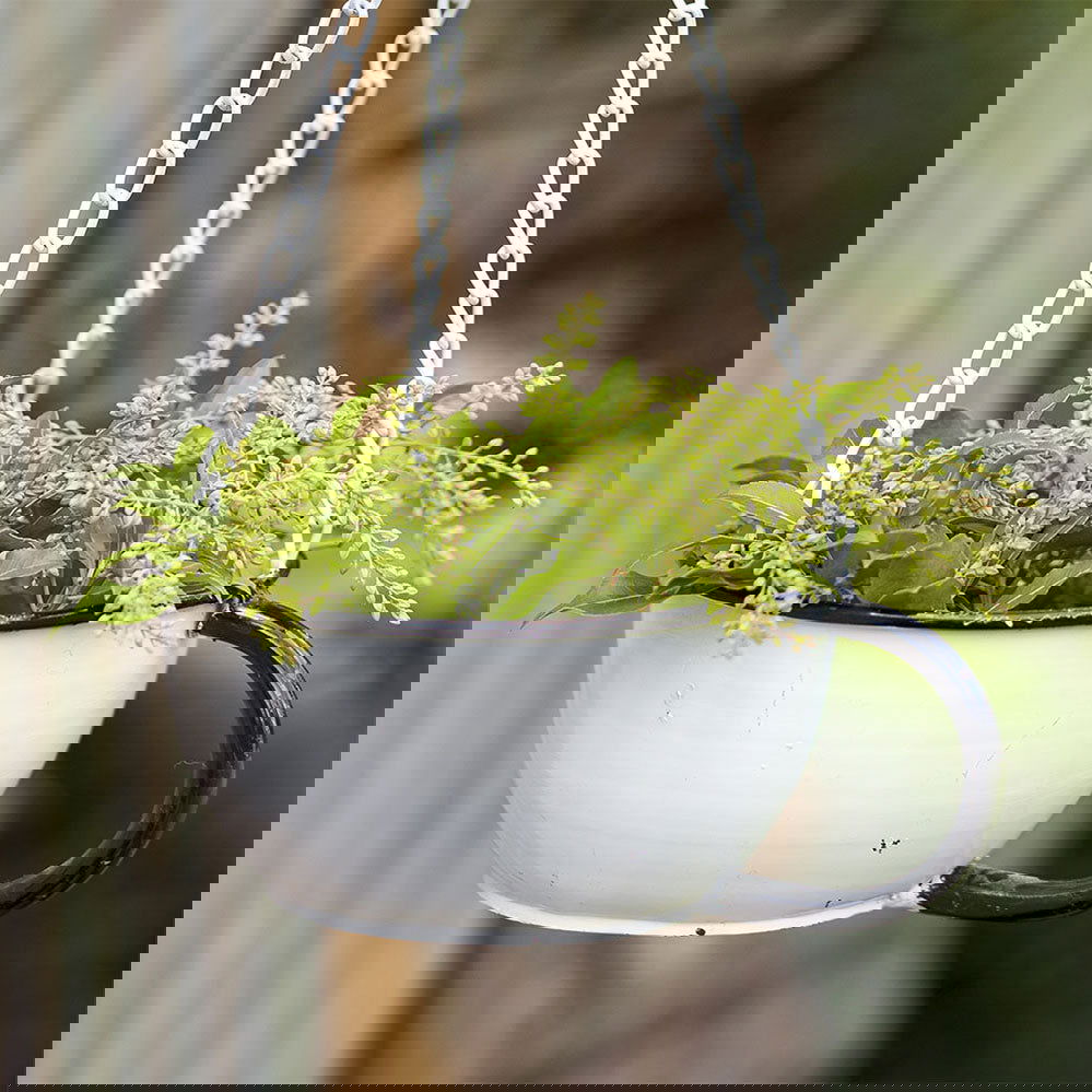 Tea Cup Bird Feeder - Rivour Home