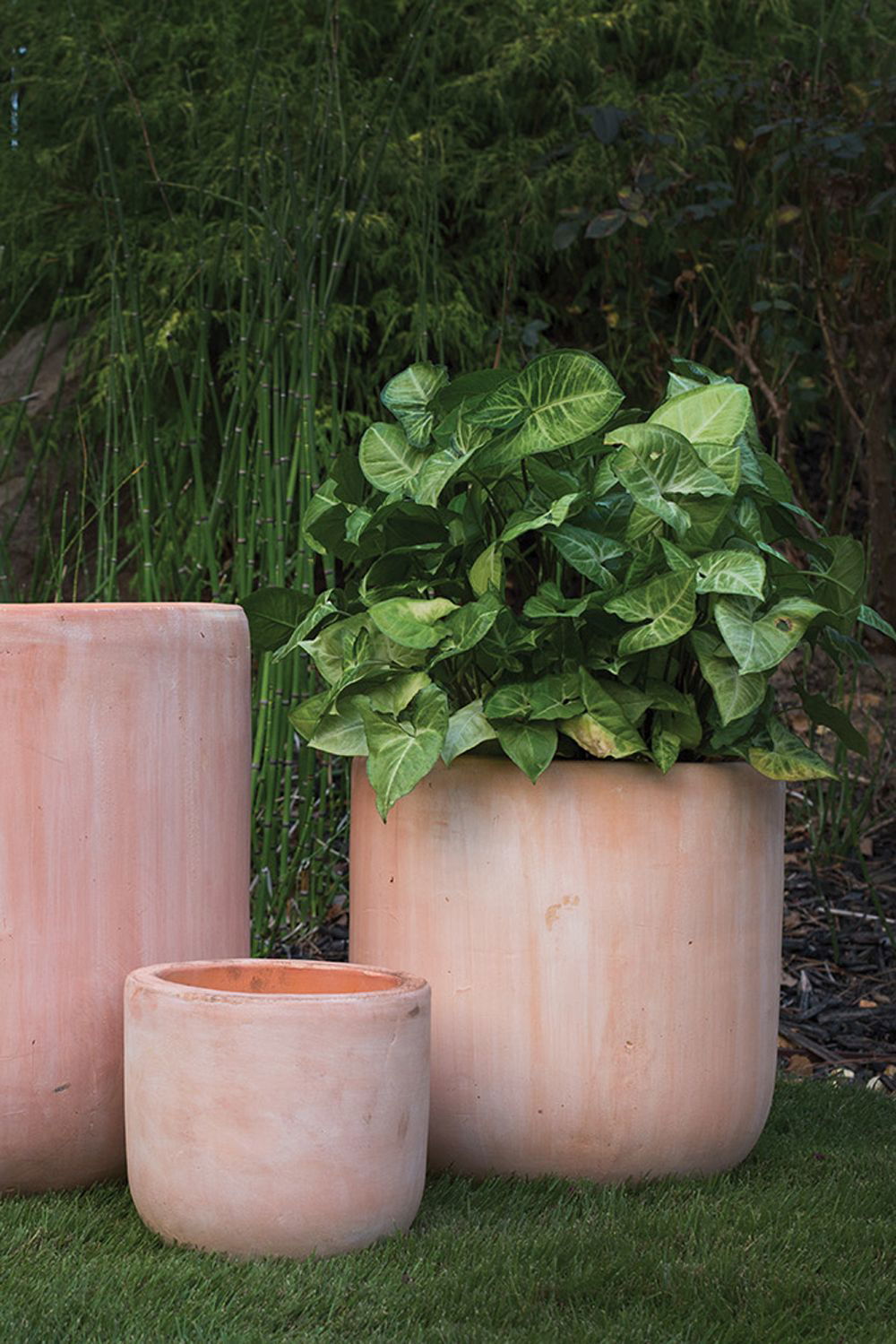 Terracotta Lerato Planter Collection with Drainage Hole - Rivour Home